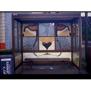 Cheetah Bus Shelter