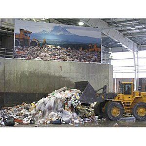 Terra Firma picture