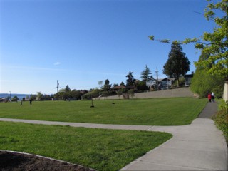 broad view of park