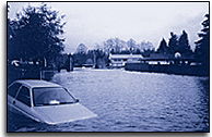 Flooding in Areas Around Ronald Bog